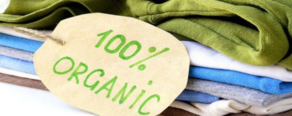 vêtements bio